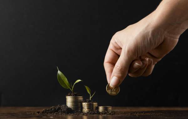 A Guide to Equity Mutual Funds and Their Features