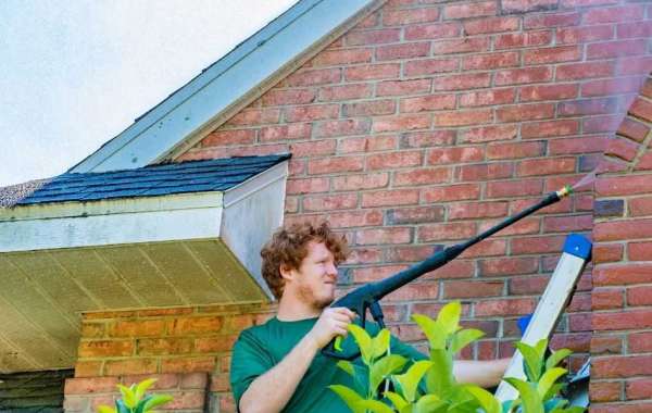 Top Leading House Washing Services in Wellington
