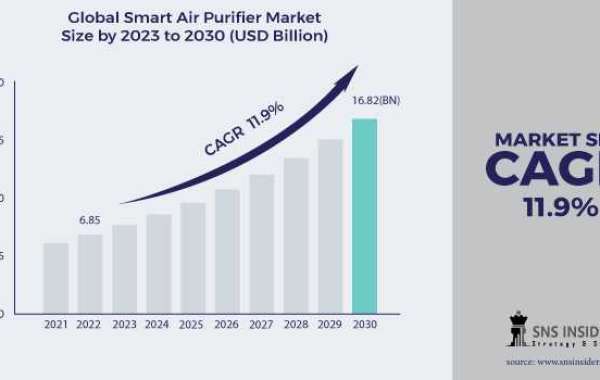 Smart Air Purifier Market Analysis: Regional Market Insights