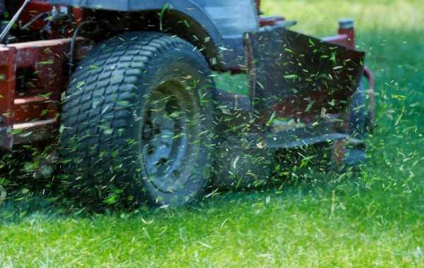 Excellent Lawn Care Solutions in Marietta