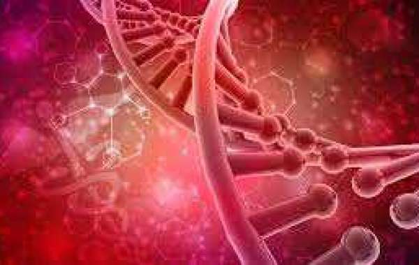 Maximize Wellness: Explore Hormone Replacement Therapy Options