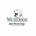 WizeDogs Labradors and Positive Dog Training Academy