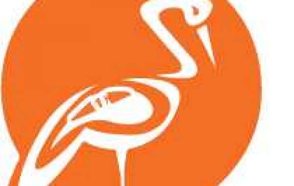 TNPSC Coaching Centre in Chennai, Bank Coaching Centre in Chennai, RRB Coaching Centre in Chennai