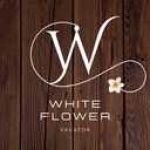 White Flower Cottages