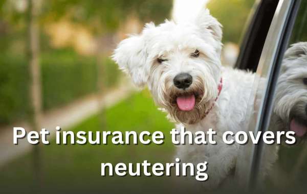 The Importance of Pet Neutering and Understanding Insurance Coverage