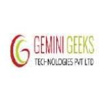 TheGeminiGeeks