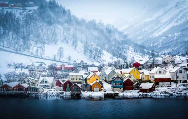 Best Himachal Tour Packages from Delhi