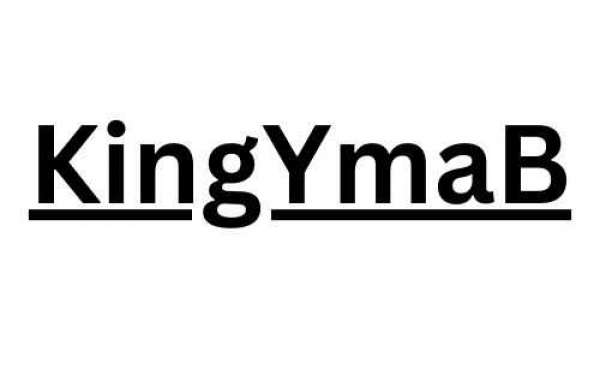 KingYmaB: Your Pathway to Blogging Success