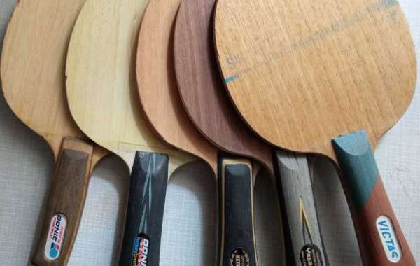 Elevating Your Table Tennis Game: The Role of Tactics and Equipment