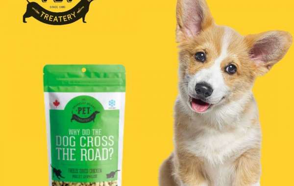 Effective Allergy Supplements for Dogs: Relief for Your Furry Friend