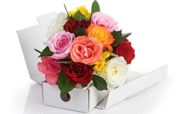 Flowers & Plants  Gifts| Next-Day Flowers Delivery