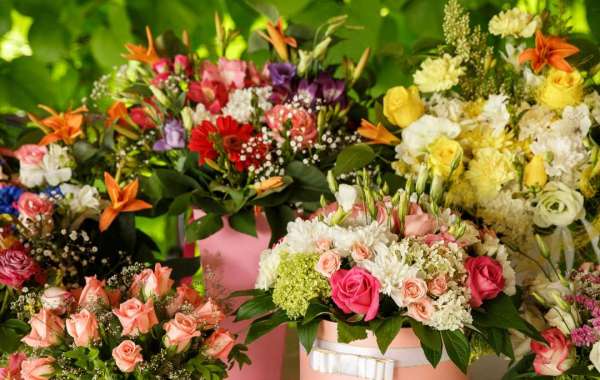 Local Florist in Papamoa: Same-Day Flower Delivery Services