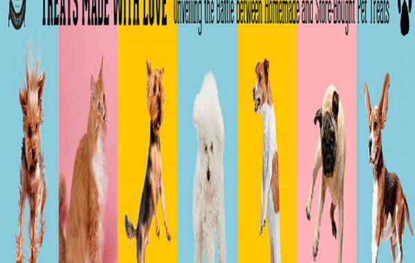 From Tempting Tuna to Divine Delicacies: The Ultimate Cat Treat Extravaganza