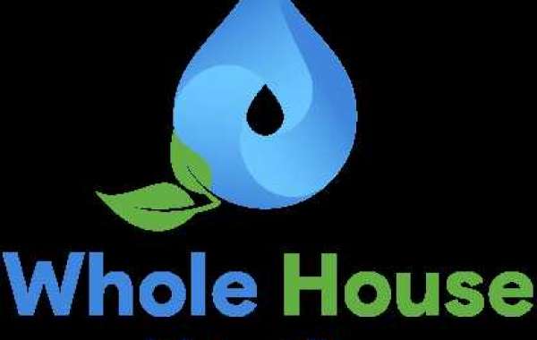 Planning to buy a Whole House Water Filter for your Dubai residence?