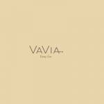 VaVia Dumpster Rental Austin TX
