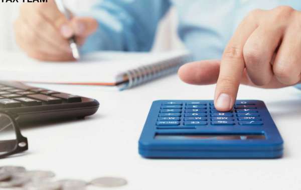 Partnering for Success: Small Business Accountants in Auckland