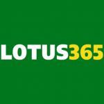 lotus365