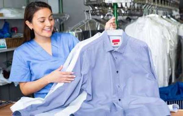 Dry Cleaning for Pet Owners: Removing Fur and Odors with Ease