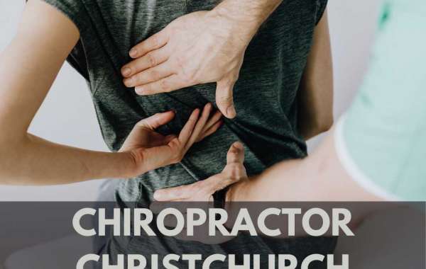Spinal Wellness Experts: Chiropractor Services in Chch