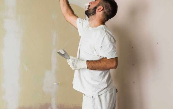 Refresh Your Home: Trusted House Painters in Mt Maunganui