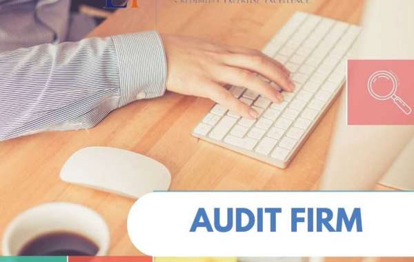 Specialized Audit Firm in Singapore: Industry Expertise
