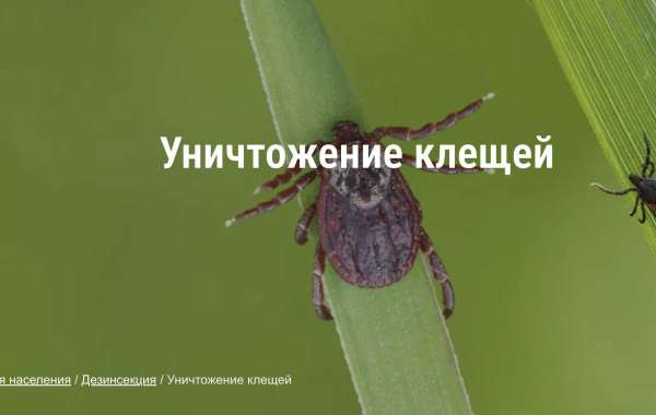 Методы обработки от клещей