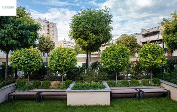 Mylandscapes | Modern Roof Terrace Designer