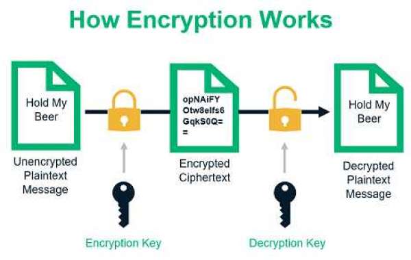 Data Encryption Market Size, Share & Growth [2032]