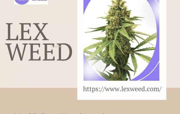  Weed Delivery in NY: Everything You Need to Know
