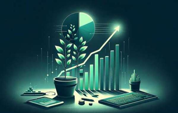 Mastering the Art of Bootstrapping: Strategies for Startup Self-Funding