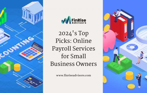 2024's Top Picks: Online Payroll Services for Small Business Owners