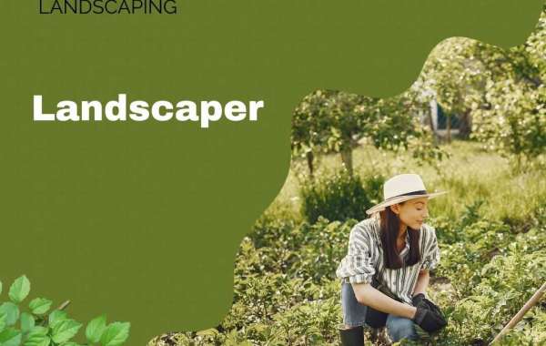 Landscaping Trends in Edmonton: What's Popular in 2024