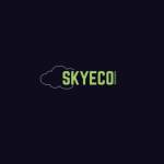 Skyeco Group LLC