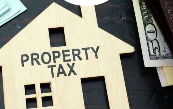 The Ultimate Guide to Property Tax Planning in Wellington