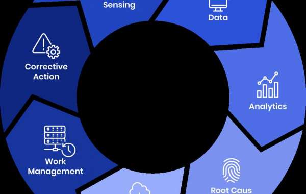 Asset Performance Management Market Size and Share Analysis Report 2024-2030