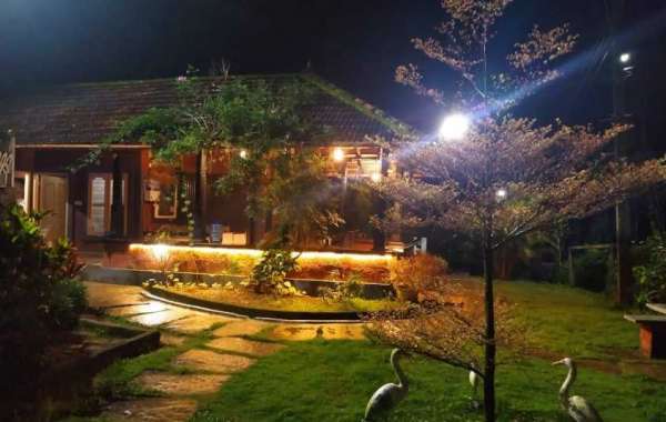 Explore the Heart of Coorg: Best Places to Visit in Madikeri