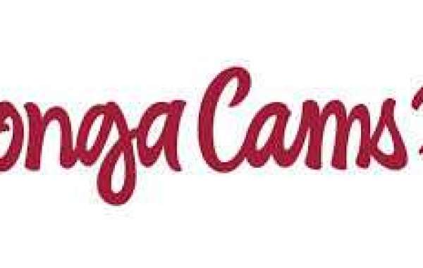 Exploring the World of Cam Modeling: A Deep Dive into the Industry