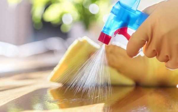 Hospital Disinfectant Products & Services Market Trends, Share & Forecast Report to 2032