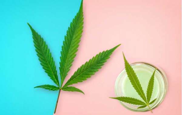 CW Naturals CBD Gummies: A Delicious Way to Enjoy the Benefits of CBD