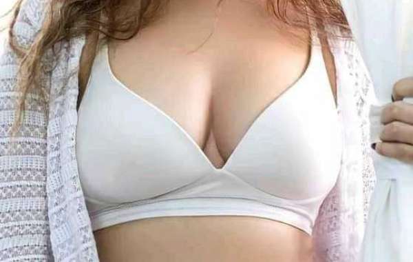 Udaipur Escort Service: Unveiling the Elite Experience in the City of Lakes