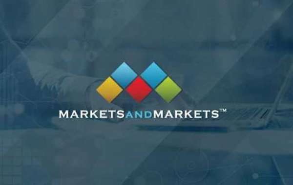 Organ-On-Chip Market worth $631,073 thousand by 2029