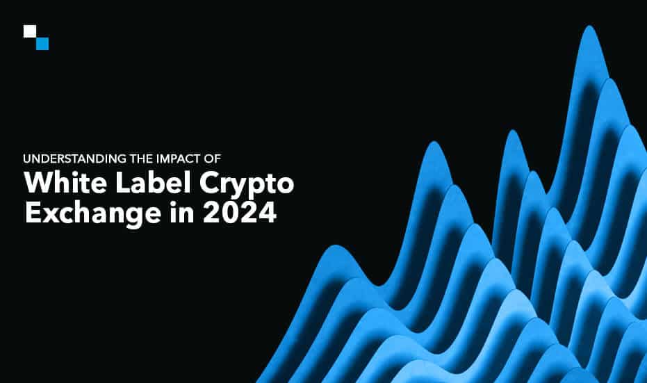 The Potential Of A White Label Cryptocurrency Exchange in 2024