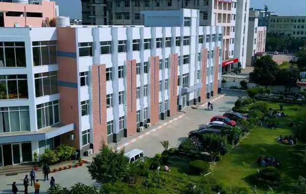 Top Pharmacy Programs in Uttar Pradesh: Step into a Bright Future