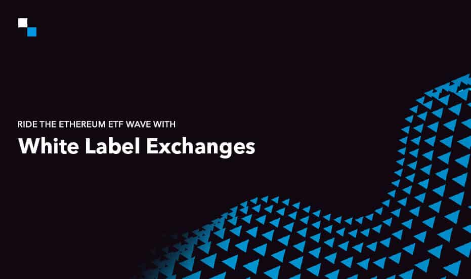 How to Capitalize on Ethereum ETF Hype With White Label Exchange?
