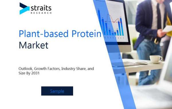 Plant-based Protein Market Market Analysis Report: Size, Share, and Trends Forecast for the Next Period