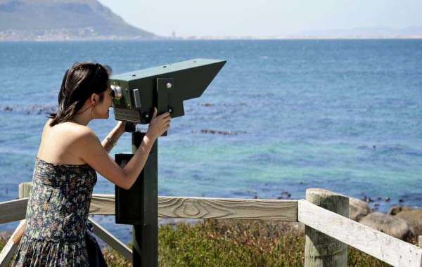 Discover the Best Cape Town Sightseeing Spots: A Complete Guide