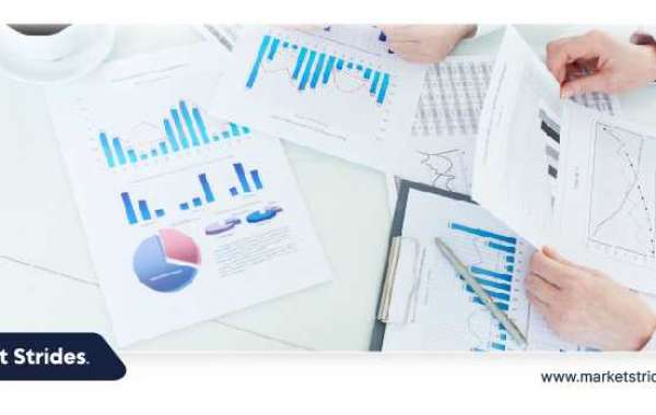 Warm Paste Market Growth: Industry Analysis and Forecast 2031 | Market Strides