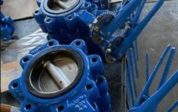 Lug Butterfly Valve Manufacturers in India