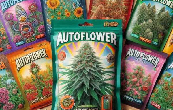 Growing Cannabis in Tennessee: What You Need to Know