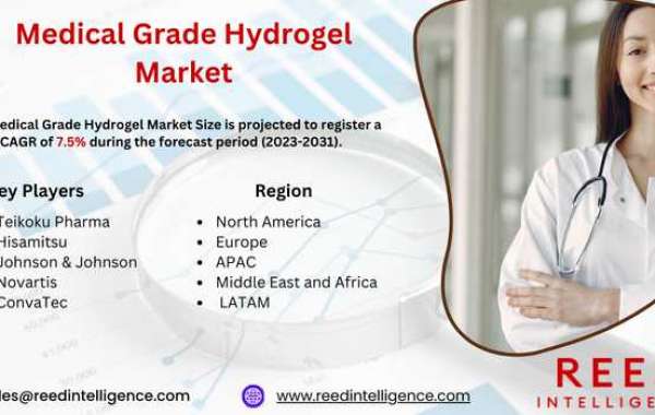 Medical Grade Hydrogel Market Market Segmentation, Regional Insights, and Top Players 2024-2032